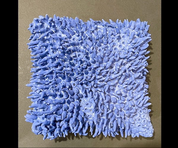 Pillow1